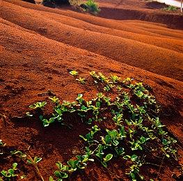 《鬼灭之刃 火之神血风谭2》试玩 再燃人鬼之战