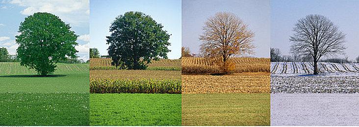 恐怖游戏《小镇惊魂2》7月先后登陆Xbox和PS